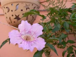 Riad Nerja Marrakesh Morocco